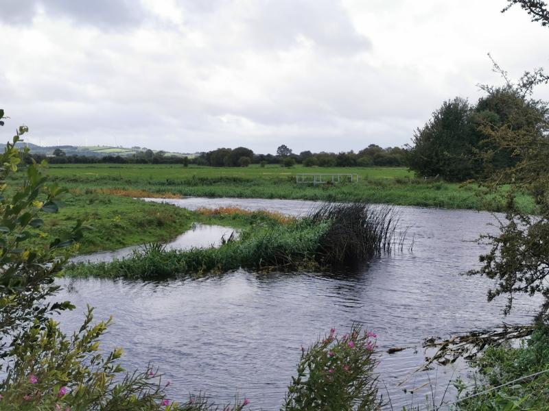 'Negligence' leading to flooding along Little Brosna River