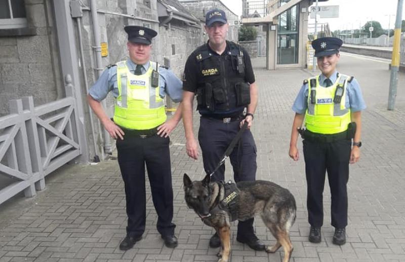 garda