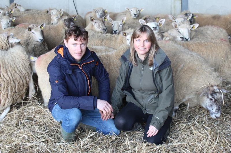 Living the organic dream on a farm in Carrig
