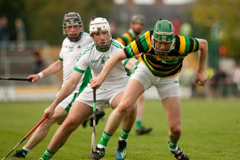 Improving Belmont show Ballinamere the long road ahead