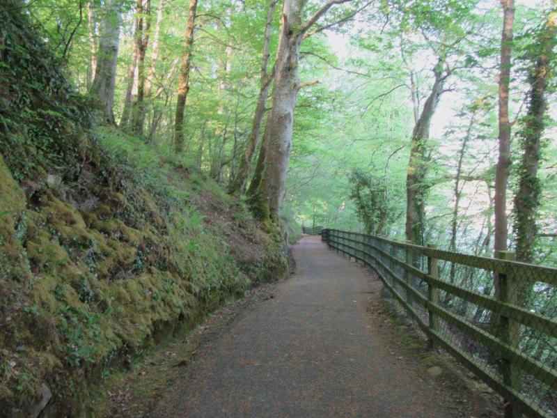 Humphreys confirms over €2m funding to develop 70 new Irish walking trails