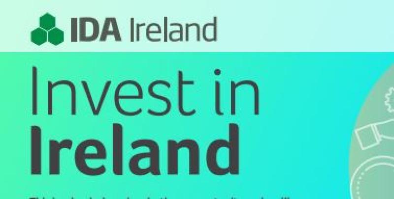 Offaly councillor repeats IDA 'lazy' claim