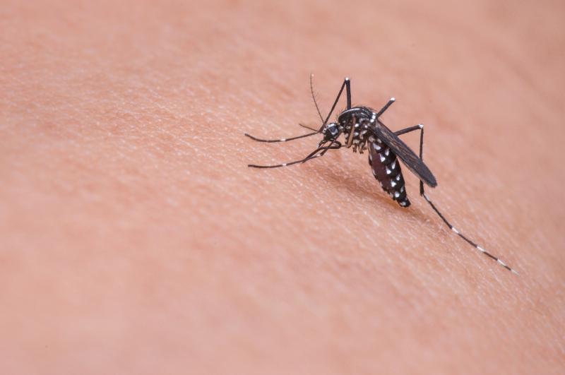 Warning to Offaly people after surge in callouts for biting insects