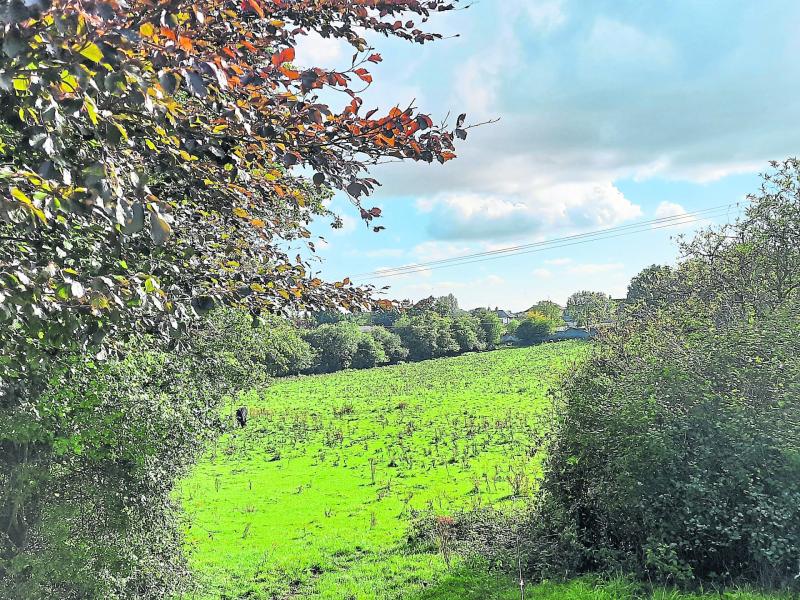 Action sought on long-awaited Primary Care Centre in Offaly town