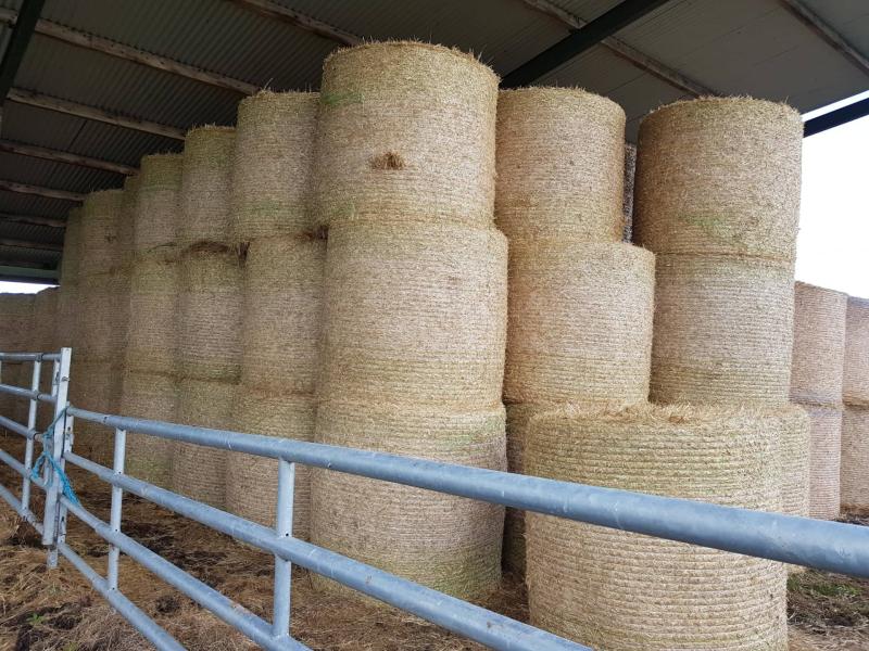 Suspension of straw incorporation measure must be scrapped – Lowry