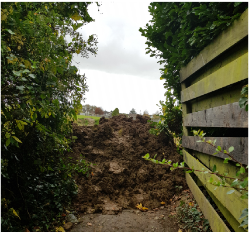 Residents unhappy as estate access to Offaly exercise spot is blocked 