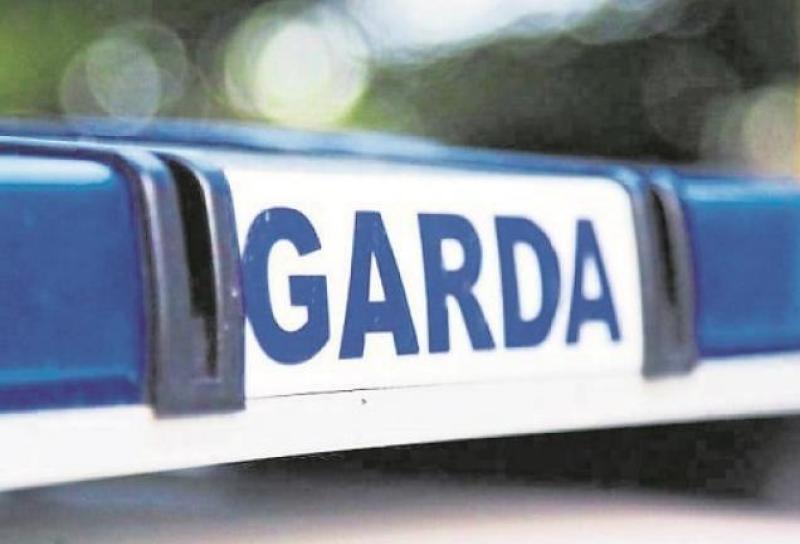Sledgehammer among weapons seized after brutal killing of woman in Offaly