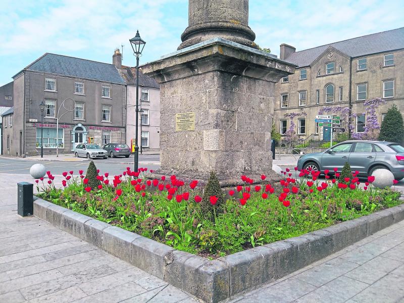 Birr Councillors request funding increase to reflect inflation