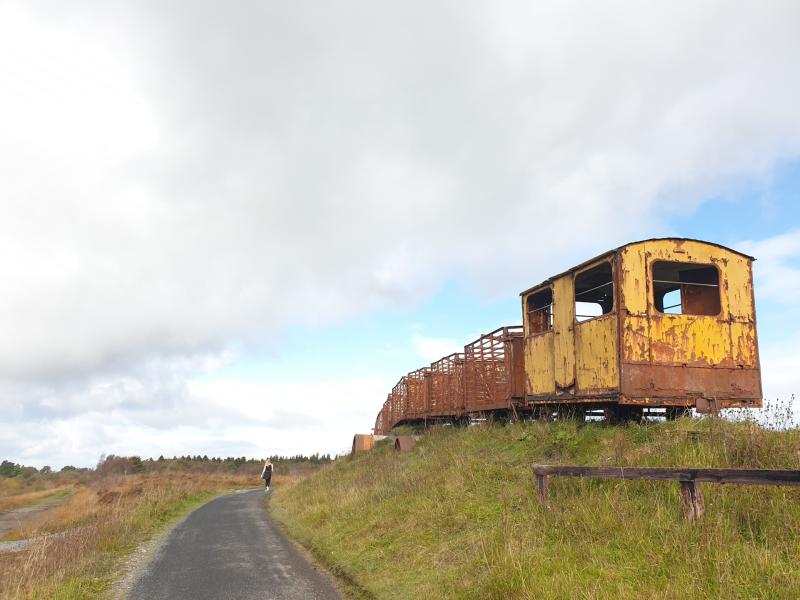 Two Offaly bogs lined up for restoration work