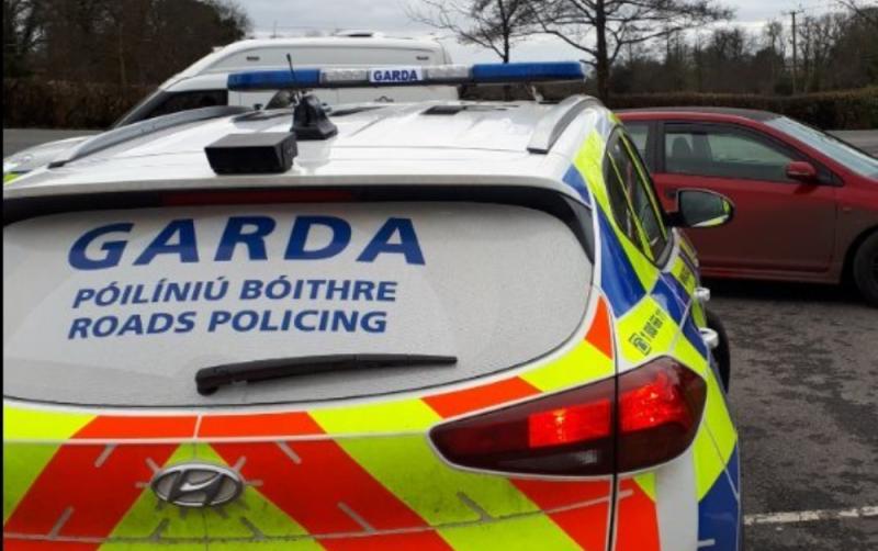 Novice driver 'out for a spin' arrested after failing drug test and passenger fined 