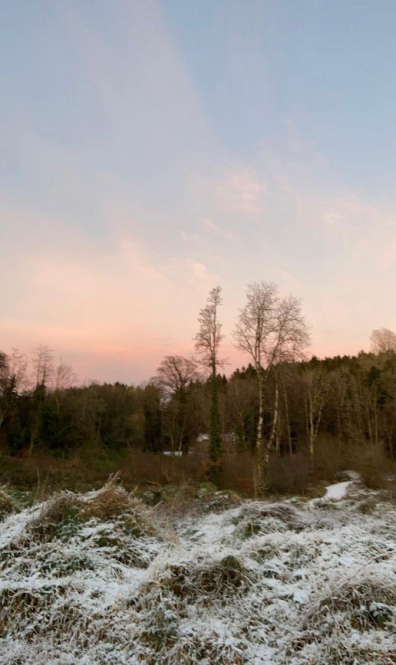 Students of Offaly secondary school take part in well-being passport challenge