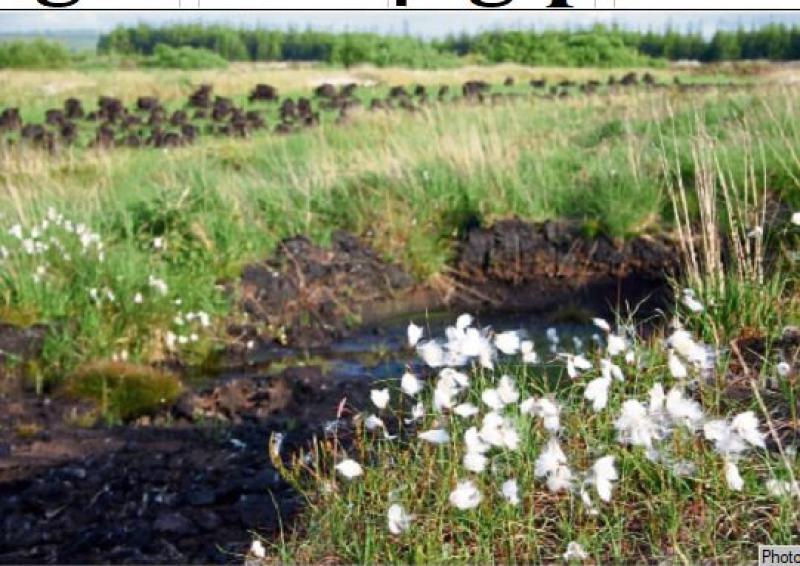 Offaly farmers urged to share their views on bog rewetting programme