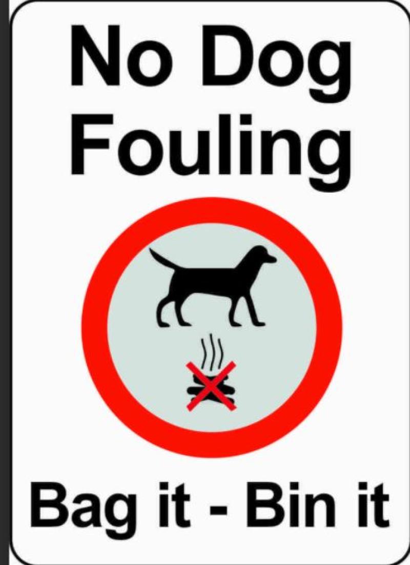 Wardens to patrol Offaly greenway on Saturdays to stamp out dog fouling