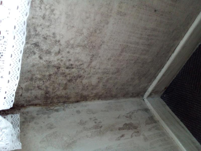 Offaly tenant in damp conditions suffering health issues