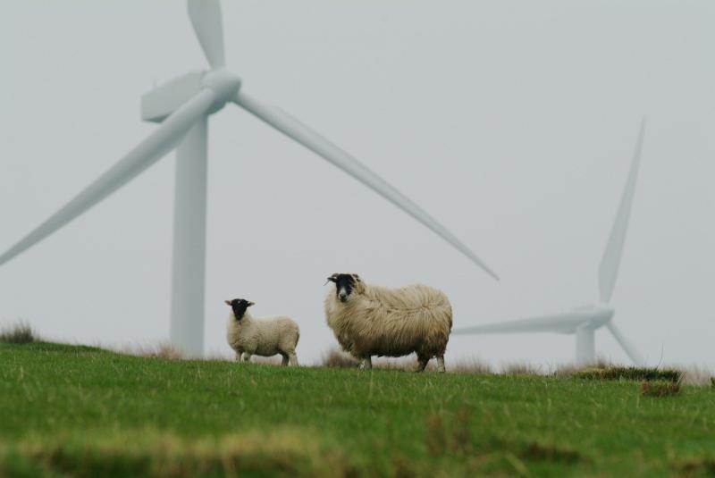 Legal challenge to €70 million wind farm approved close to Offaly border