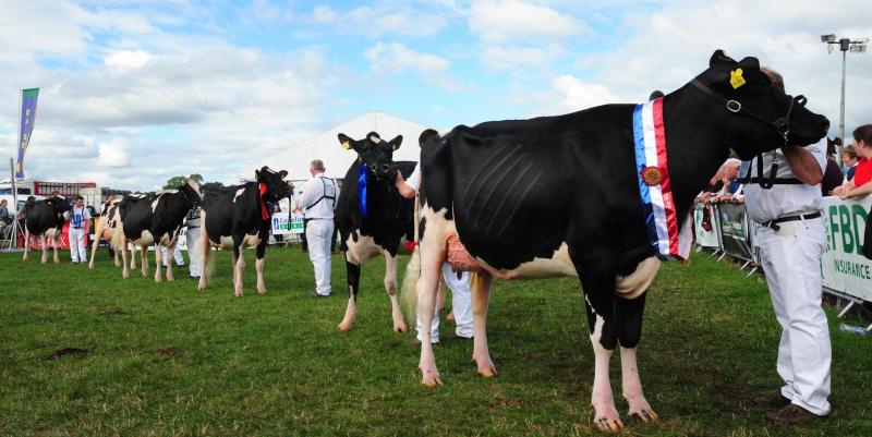 Offaly's Tullamore Show organisers defiant despite Covid threat