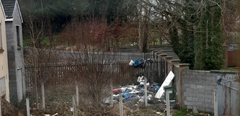 Almost 90 litter and waste complaints investigated in Offaly