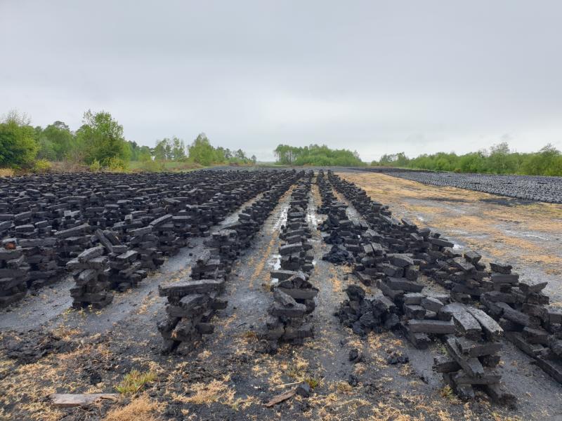 Offaly Green Minister says 'no ultimatums' on turf