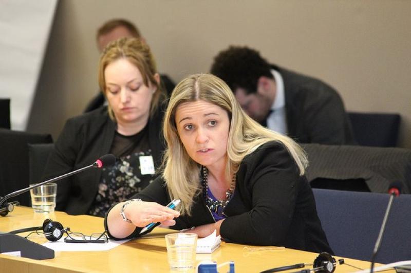 Government must act on horticultural report to avoid catastrophe - Offaly TD