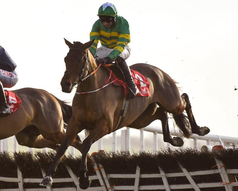 Grand National winner Minella Times' Midlands roots