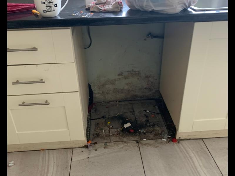 Homeowner devastated as tenants trash Offaly house 