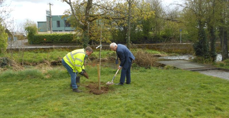 Tree of post-pandemic hope planted in Offaly 
