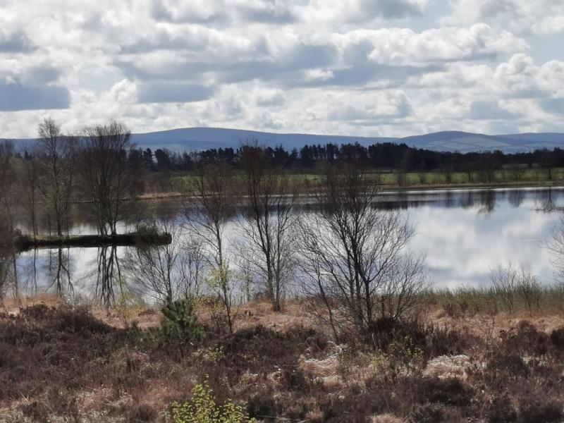 Bord na Mona ex-workers group exploring how to stay connected  in Offaly 