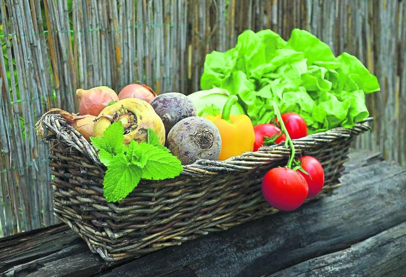 Donegal fruit and veg man to use GAA club to move stock previously meant for hotels, restaurants and bars