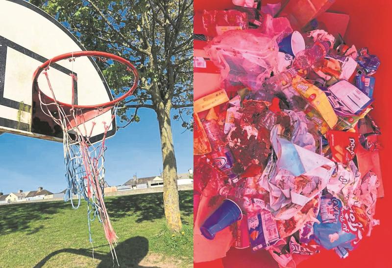 Offaly school issues appeal after repeated anti-social behaviour on grounds