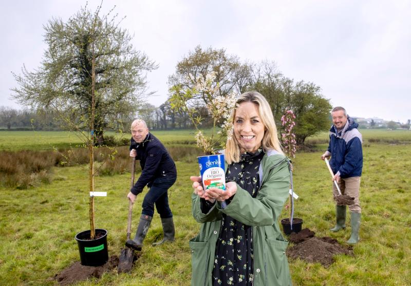 Offaly company planting 100-acre forest for great reason 
