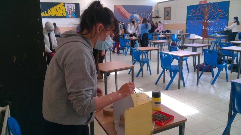 Offaly school takes part in Architects Programme