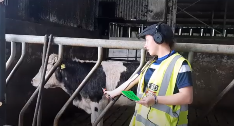 That's gas! Offaly's cow poo fundraiser is absolutely brilliant!