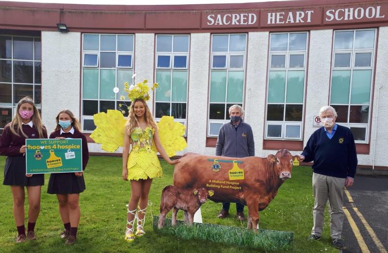 Offaly students 'udderly' unique take on Junk Kouture