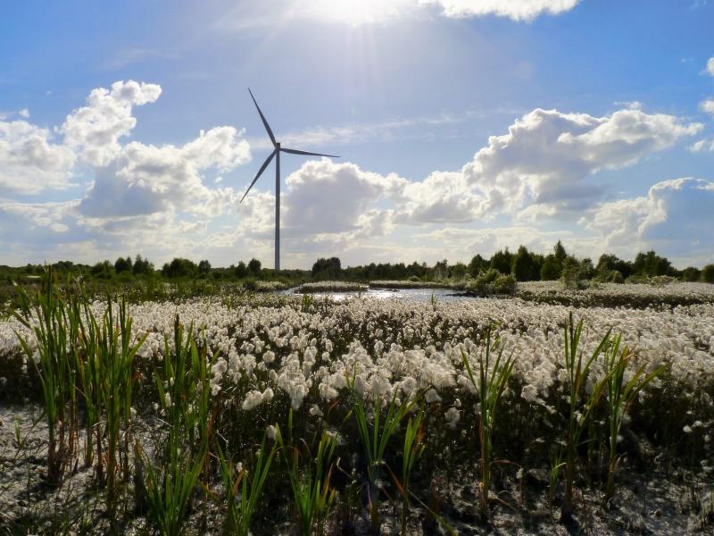 'Sell-out' and 'exaggeration' claims in bitter Offaly wind energy split
