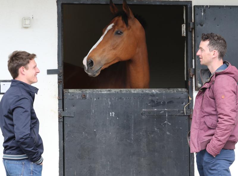 Faugheen joins the ‘Living Legends’ Team at the Irish National Stud