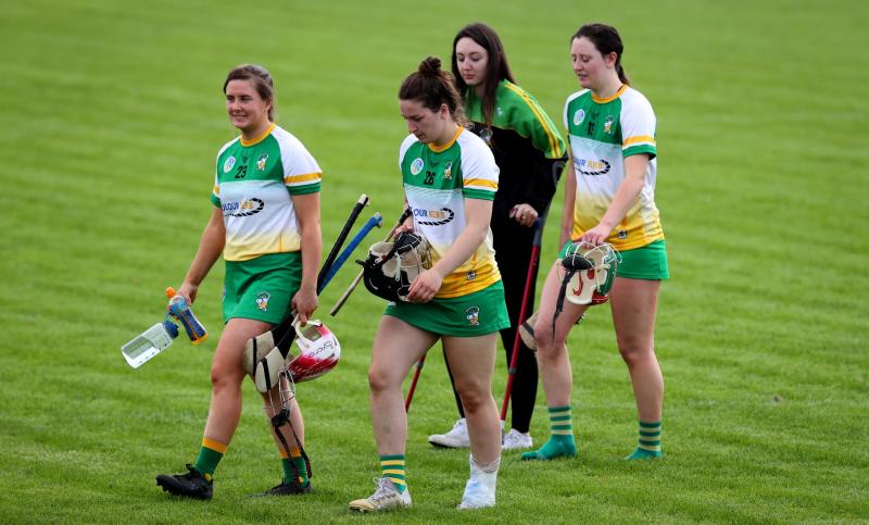 When you are small, that is all you want to do, play for your county. Offaly is my county