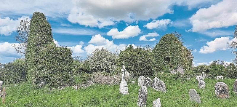 Kilmurry: The Kilmurry site is unique in Offaly having a metal coffin stand and burial ground railings. 