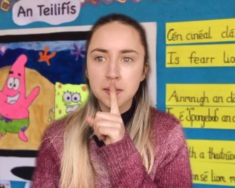 WATCH: Offaly woman's brilliant primary school teacher sketch will bring back memories!!!