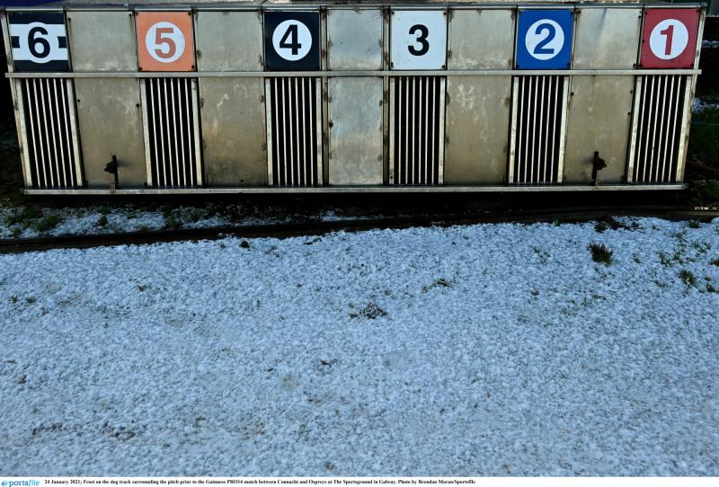 All this week's Midlands greyhound racing news 