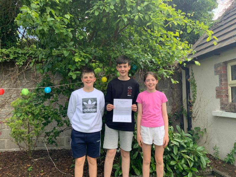 Billionaire  Larry Goodman shocks Offaly kids with big investment 