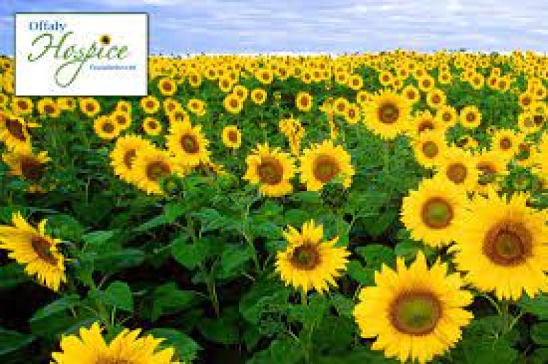 Invitation to tea and sweet treats for Offaly Hospice