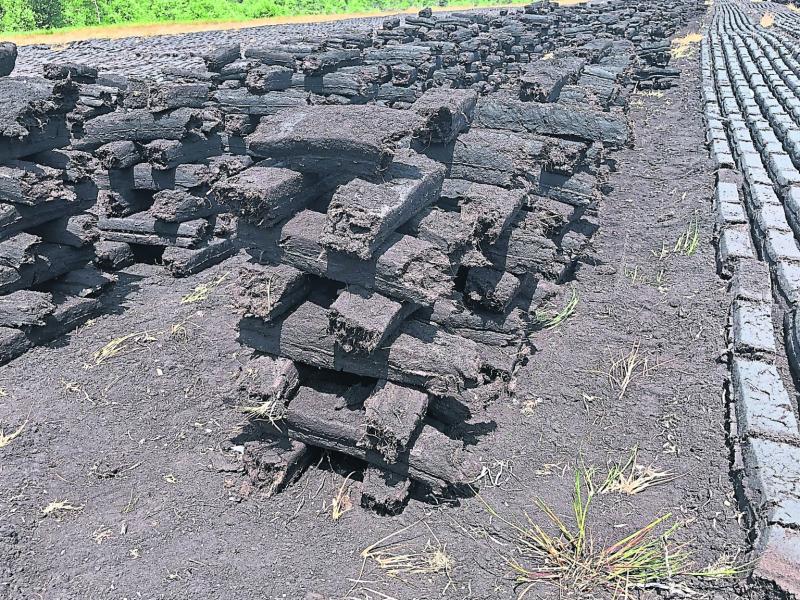 20 things we all heard during a day on the bog growing up