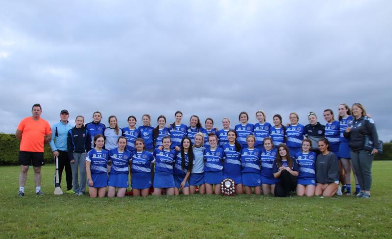 Tullamore made fight all the way by battling St Sinchill's