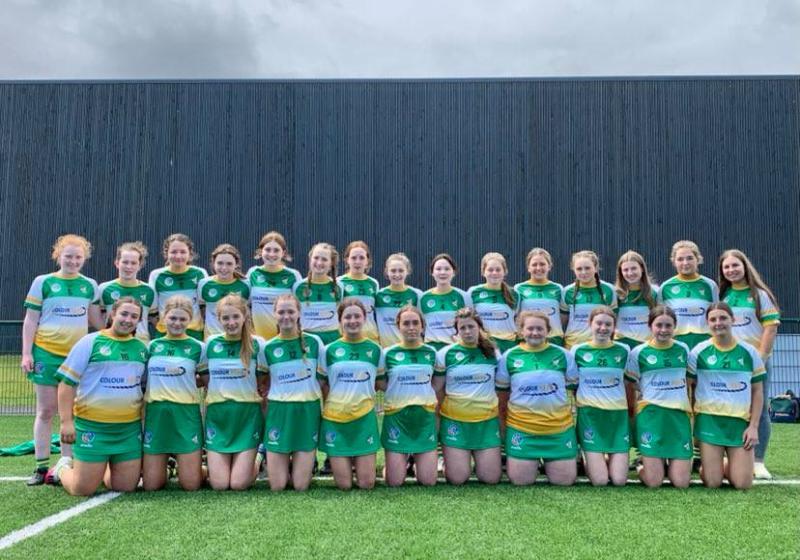 Brilliant Offaly through to All-Ireland final