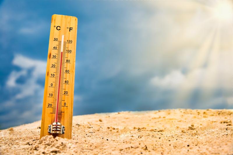 Met Eireann issues High Temperature Advisory as Heat Wave to continue through next week