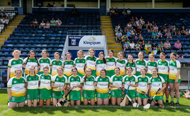 No joy for Offaly camogie teams in big games