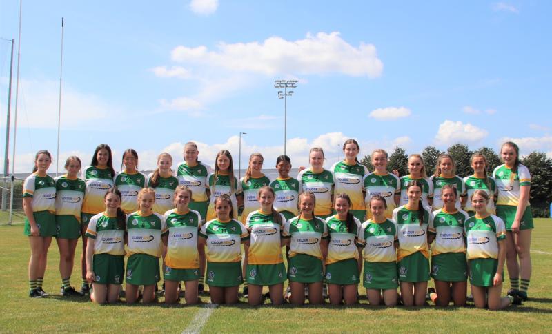 Offaly snatch memorable win against neighbours