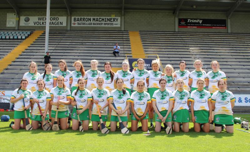 Disappointed Offaly in relegation battle