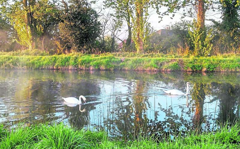 The majestic Grand Canal will the focus of the presentation by Caitriona Devery to Heritage Week activities in Offaly
