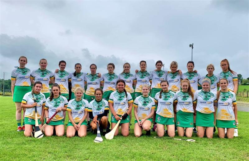 Relieved Offaly retain senior status
